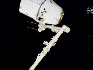 Supporting image for story: Sweets and other treats for astronauts after space station delivery