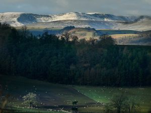Supporting image for story: Wave of school closures announced across mid and north Wales as region braces for snow