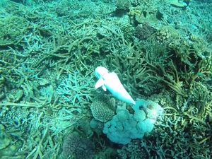 Supporting image for story: This robotic fish directed with a Nintendo controller is so life-like it fools real fish