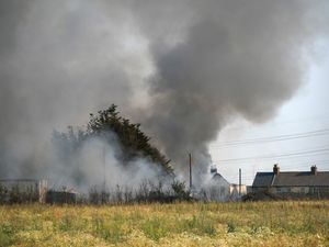 Supporting image for story: Marks & Spencer takes disposable barbecues off UK shelves amid wildfire risk