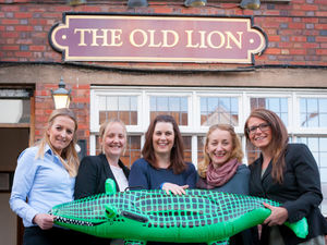 Supporting image for story: Cleobury promise auction of Rupert