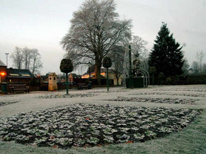 Supporting image for story: Freezing fog adds to Shropshire weather woes