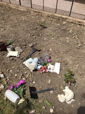 Supporting image for story