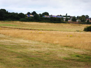 Supporting image for story: 'The lungs of Goscote': Pledge to fight development of Walsall's Swannies Field