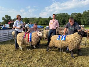 Supporting image for story: Sheep, horses, dogs and a fly past by a local resident - all highlights of a Radnorshire agricultural show