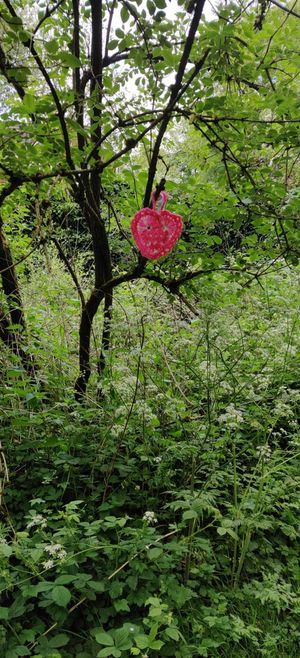 The crocheted hearts which have been appearing at sites around Telford, urging people to support local charities