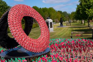 Poppy Memorial at the National Memorial Arboretum