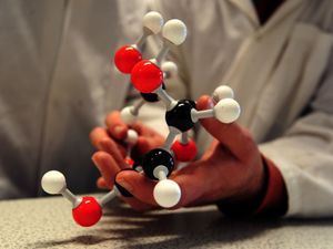 Supporting image for story: Materials that shape-shift and self-heal ‘pave way for sustainable future’