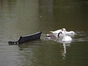 Supporting image for story: More flooding and travel trouble to hit parts of UK after rain warnings issued