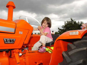 Supporting image for story: Newport Show report and results