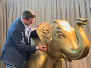 Supporting image for story: 'Cause you are gold': Ex-Spandau Ballet star Tony Hadley helps to kickstart elephant art trail in Staffordshire