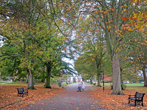 Supporting image for story: Nearly £52,000 secured to spruce up outdoor gyms at nine parks in the Black Country