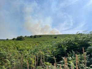 Supporting image for story: Fire crews spent 24 hours tackling 50-hectare wildlife in Powys
