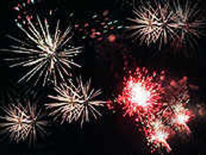 Supporting image for story: How to protect your pet from firework fear