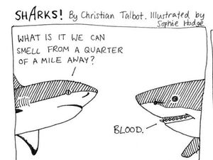 Supporting image for story