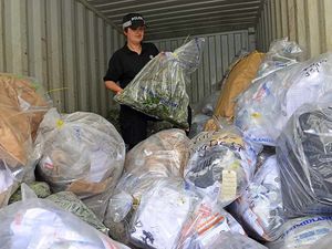 Supporting image for story: Meet the police squad destroying £36m of cannabis every MONTH in the West Midlands