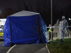 Harvey was found with a stab wound to his back in Spring Pool Meadow, in the Russells Hall area. Photo: @SnapperSK