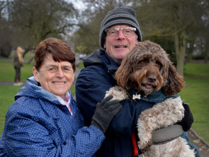 Supporting image for story: Mixed views among Wolverhampton's dog owners on new rules for leads, dog mess and water features