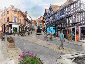 Supporting image for story: Shrewsbury Moves consultation extended for another week