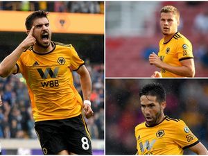 Supporting image for story: Comment: Lack of experience could be a positive for Wolves