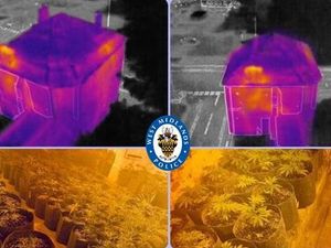 Supporting image for story: Drones praised by police as machete suspects and cannabis farm tracked down