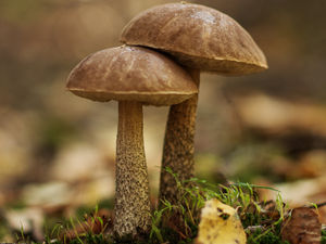 Supporting image for story: Dan Morris: A joy seeing world through child’s eyes