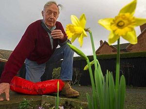 Supporting image for story: Forget Christmas - spring has sprung - in December