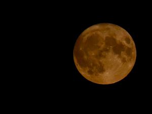 Supporting image for story: Spectacular photos capture blue supermoon over Shropshire