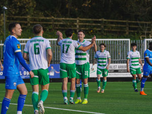 Supporting image for story: FAW bosses hoping for 'Wrexham effect' as they seek US investment in Cymru Premier