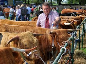 Supporting image for story: Newport Show cancelled again due to Covid