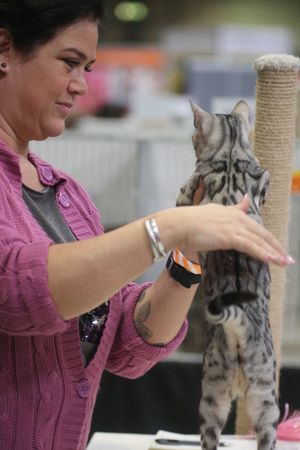 National Pet Show at Birmingham NEC. Pictures by: Andy Shaw