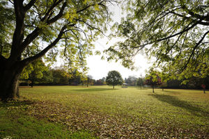 Cae Glas Park, Oswestry
