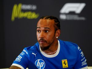 Supporting image for story: Formula One champion Lewis Hamilton shares fears about his unwell dog