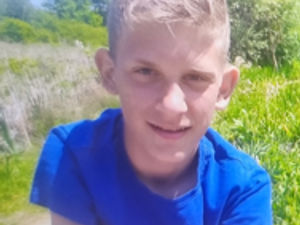 Have you seen Niko?