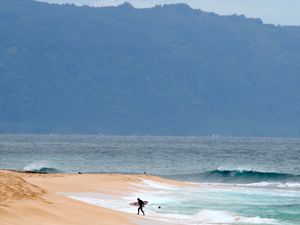 Supporting image for story: Shark severs leg of 61-year-old US surfer in attack