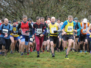 Supporting image for story: Runners descend on Cannock Chase for annual Trig Point race - with pictures and video