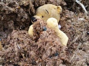 Supporting image for story: Winnie the Pooh in deep poo… literally!