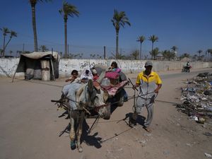 Supporting image for story: UN agency says Israeli tanks and snipers opened fire on Gaza crowd seeking aid