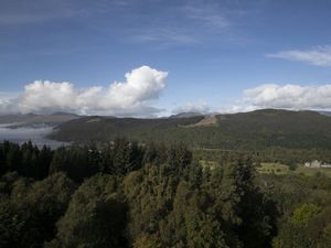 Supporting image for story: Rewilding sites have seen 400% increase in jobs since 2008, research finds