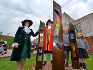 Supporting image for story: Eye-catching Covid memorial unveiled in ceremony to mark community sacrifices