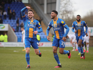 Supporting image for story: Shrewsbury loan star Callum Lang would love to settle down