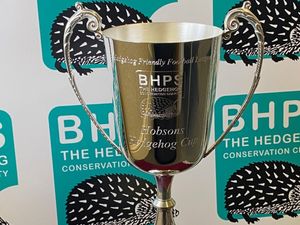 Supporting image for story: Society excited to announce semi-final draw in Hobson's Hedgehog Cup!
