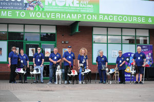 A number of recently-retired greyhounds took to Dunstall Park racecourse for the Racing League night