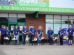 Supporting image for story: 'We're delighted with the response' - Racegoers open their hearts to retired greyhounds ahead of Dunstall Park launch