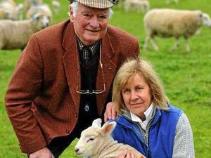 Supporting image for story: Midlands action group set up after spate of attacks on sheep