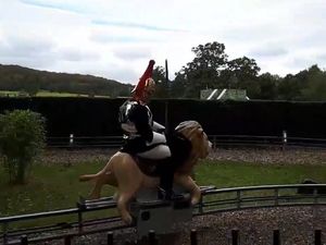 Supporting image for story: Watch a member of the Household Cavalry swap his horse for a plastic lion