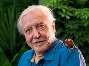 Supporting image for story: Peter Rhodes on curious colours, the Abbott factor and the BBC's plastic goodies