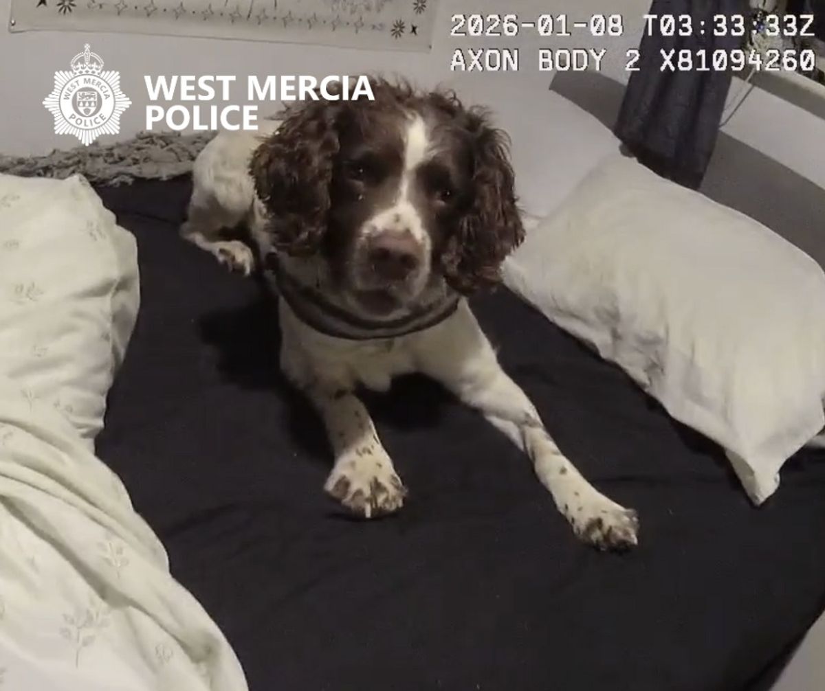 Two arrested and &pound;100,000 cash seized in police raids clamping down on illegal waste activity across Shropshire, Worcestershire and Herefordshire