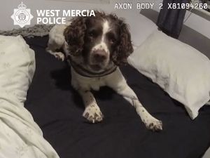 Supporting image for story: Two arrested and £100,000 cash seized in police raids clamping down on illegal waste activity across Shropshire, Worcestershire and Herefordshire