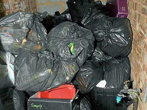 Supporting image for story: Rotting rubbish left uncollected in store